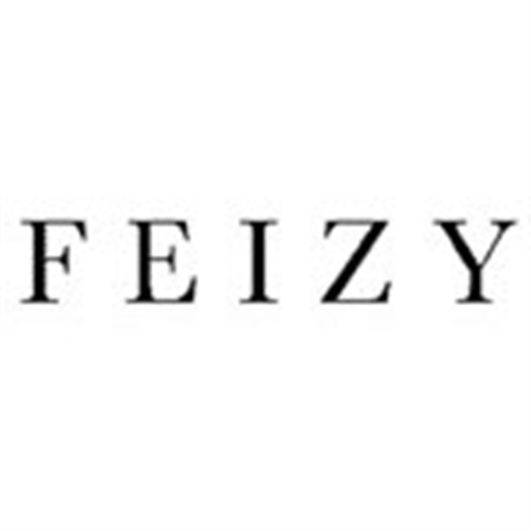 Feizy Rugs